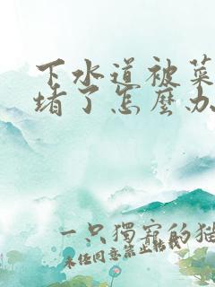 下水道被菜叶子堵了怎么办