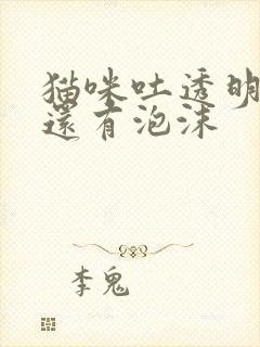 猫咪吐透明的水还有泡沫