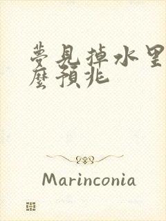 梦见掉水里是什么预兆