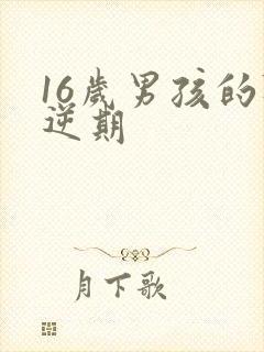 16岁男孩的叛逆期