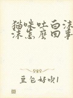 猫咪吐白沫和黄沫怎么回事