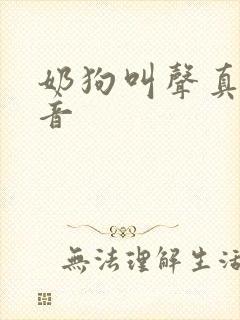 奶狗叫声真实声音