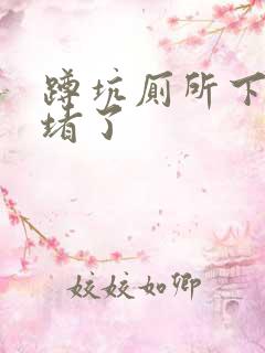 蹲坑厕所下水道堵了