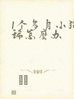 1个多月小狗拉稀怎么办