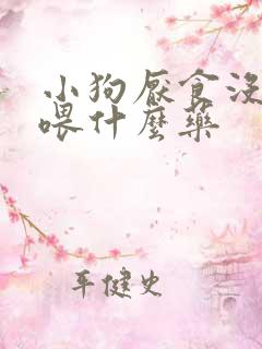 小狗厌食没精神喂什么药