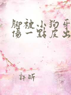 脚被小狗牙齿划伤一点皮出血有事吗