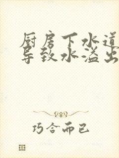 厨房下水道堵塞导致水溢出来