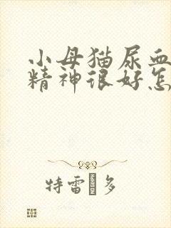 小母猫尿血但是精神很好怎么回事