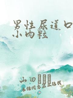 男性尿道口上长小肉粒