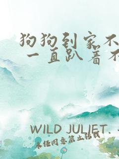 狗狗到家不吃饭 一直趴着不动