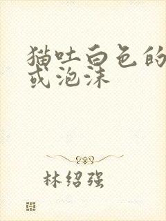 猫吐白色的黏液或泡沫