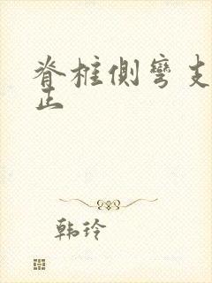 脊椎侧弯支具矫正