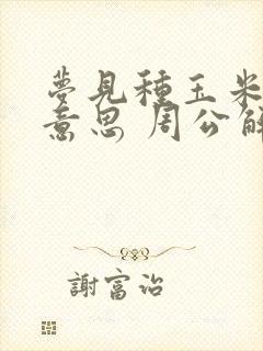 梦见种玉米什么意思 周公解梦