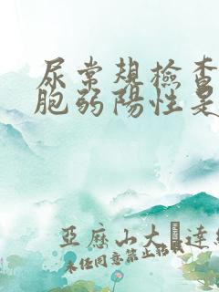 尿常规检查白细胞弱阳性是什么意思