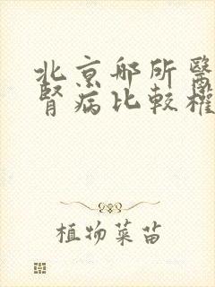 北京哪所医院看肾病比较权威?