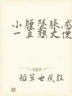 小腹坠胀,感觉一直想大便,怎么回事