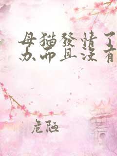 母猫发情了怎么办而且没有公猫啊