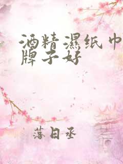 酒精湿纸巾哪个牌子好