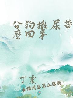 公狗撒尿带血怎么回事