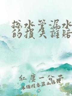 总水管漏水导致的损失谁赔偿