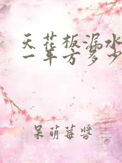 天花板漏水修补一平方多少钱