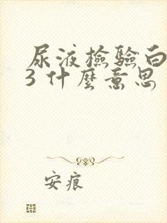 尿液检验白细胞3 什么意思