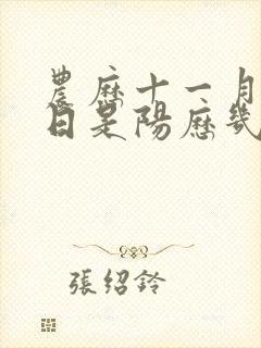农历十一月十五日是阳历几月几日