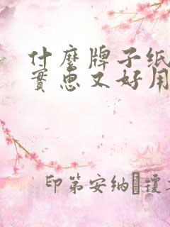 什么牌子纸尿裤实惠又好用