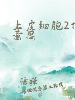 上皮细胞2什么意思