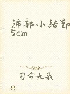 肺部小结节0.5cm