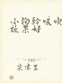 小狗干咳吃啥药效果好