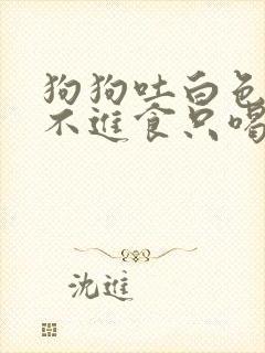 狗狗吐白色粘液不进食只喝水