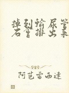 掉到输尿管的结石会排出来吗