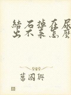 结石掉在尿道里出不来怎么办