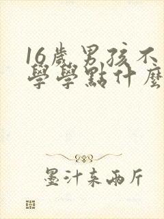 16岁男孩不上学学点什么技术好