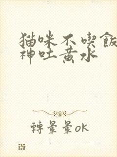 猫咪不吃饭没精神吐黄水