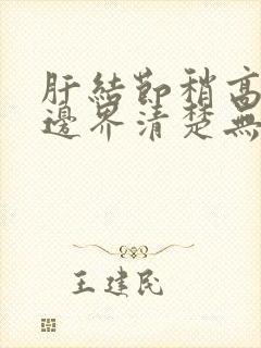 肝结节稍高回声边界清楚无血流