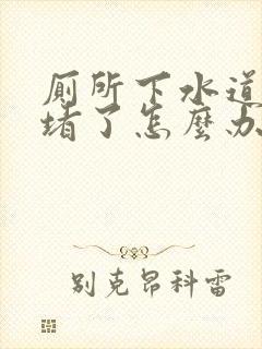 厕所下水道被鱼堵了怎么办