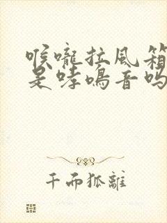 喉咙拉风箱声音是哮鸣音吗