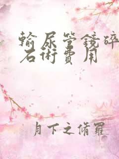 输尿管镜碎石取石术费用