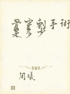 骨穿刺手术费用是多少