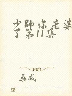 少帅你老婆又跑了第11集