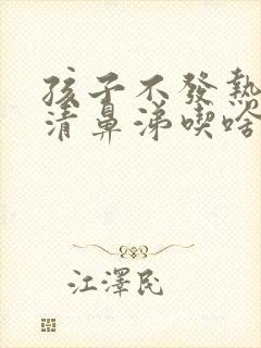 孩子不发热只流清鼻涕吃啥药