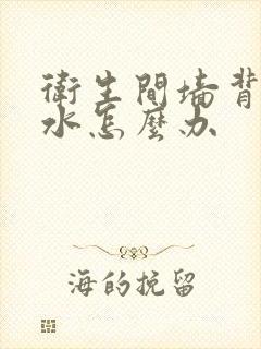 卫生间墙背面渗水怎么办