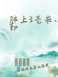 肺上3毫米小结节