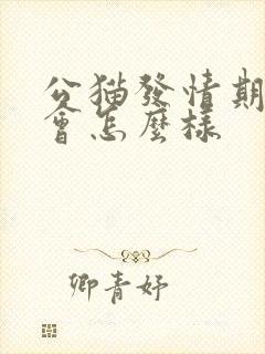 公猫发情期绝育会怎么样