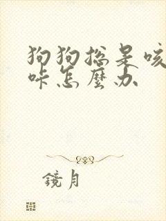 狗狗总是咳咳咳咔怎么办