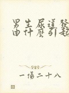 男生尿道发炎是由什么引起的