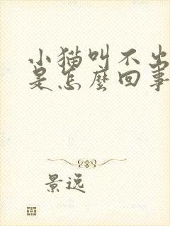 小猫叫不出声音是怎么回事