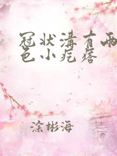 冠状沟有两个白色小疙瘩